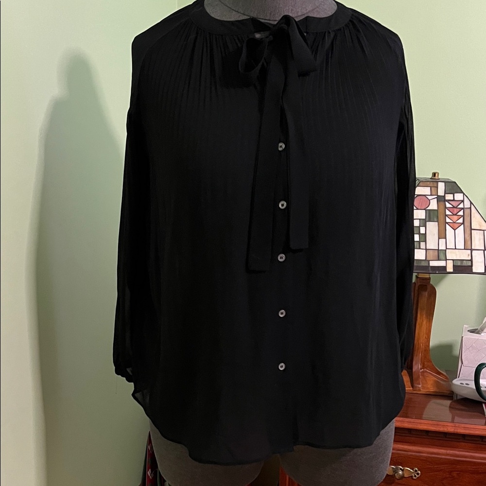 Elegant Sheer Black Women's Top